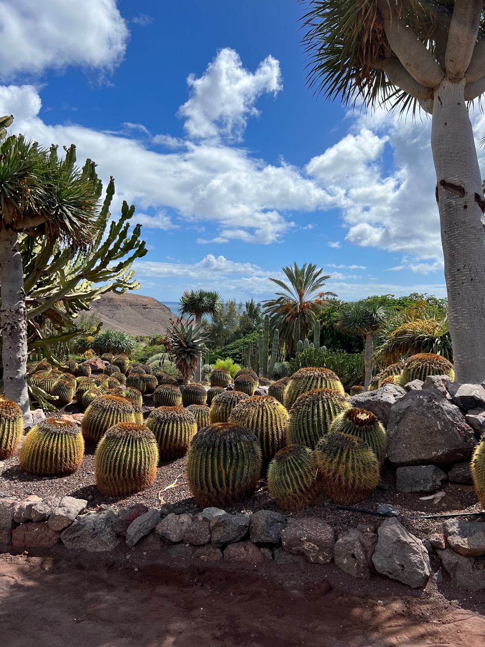 Botanical garden, which is part of the zoo