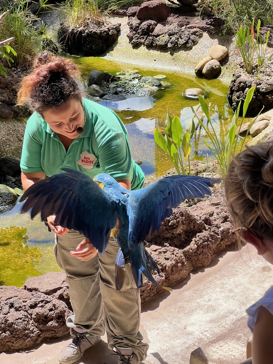 Live show at Oasis Wildlife